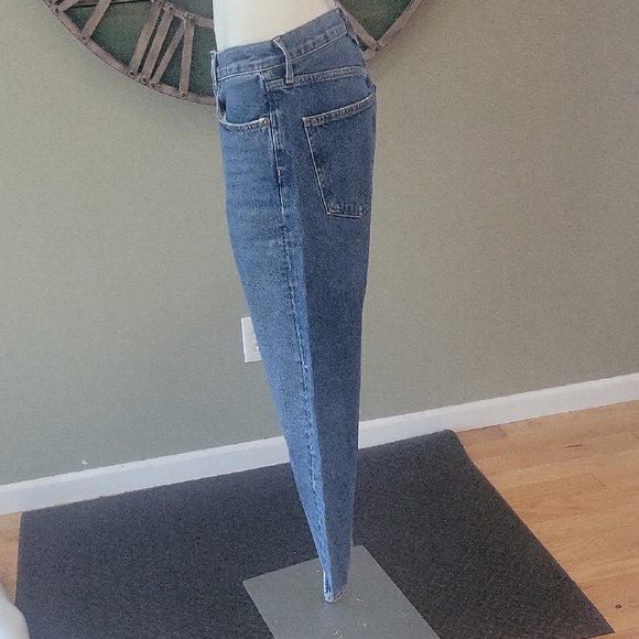 AGOLDE 90's Crop Button Fly Jean - Picture 6 of 11